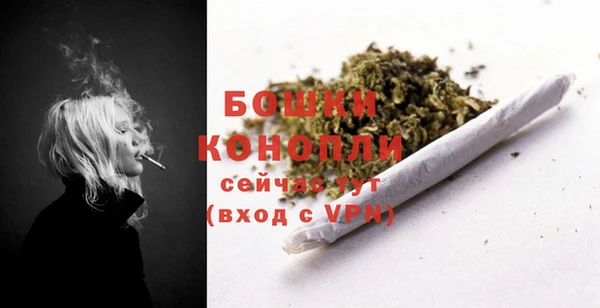 СК Аркадак