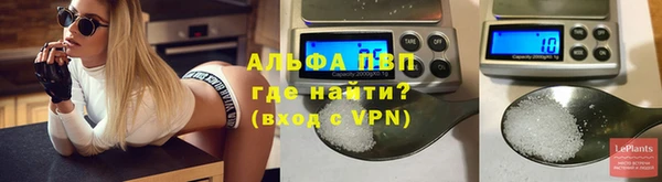СК Аркадак