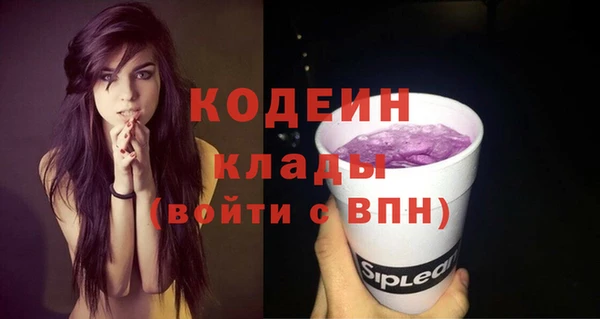 эйфоретик Арсеньев