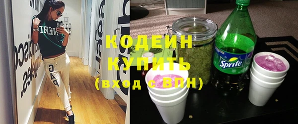 хмурый Алзамай