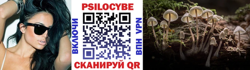 где купить наркоту  Порхов  kraken маркетплейс  Псилоцибиновые грибы мухоморы 